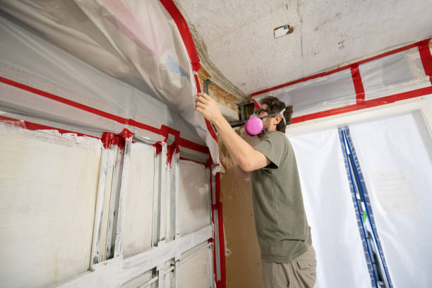 Verde Village, AZ Mold Inspection, Removal & Remediation Company